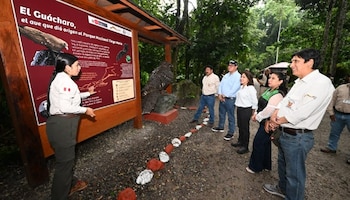 El anuncio se realizó en