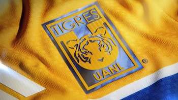 El futuro de Tigres: entre estadio nuevo y la posible llegada de otros dueños