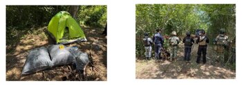 Tras cateo, confiscan casi 60 mil dosis de droga escondidas en una casa de Veracruz. @FGE_Veracruz