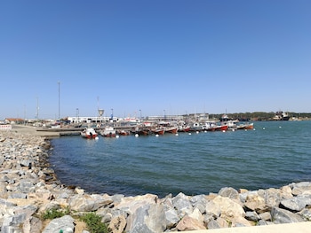 El puerto de la Paloma,