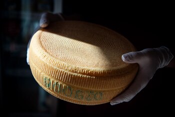 Un queso, listo para la