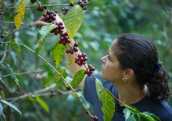 Aida Batlle inspecciona personalmente los