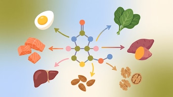 Qué es la biotina, el nutriente vitamínico que podría favorecer la salud capilar y cutánea