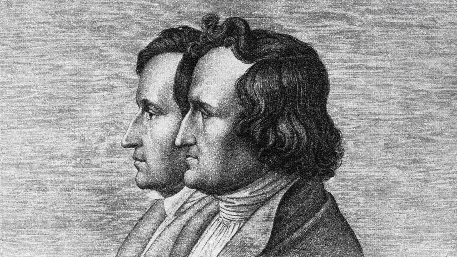 Los hermanos Grimm recogieron distintas historias populares del territorio alemán y las convirtieron en relatos infantiles que recorrieron el mundo