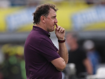 El director técnico de la