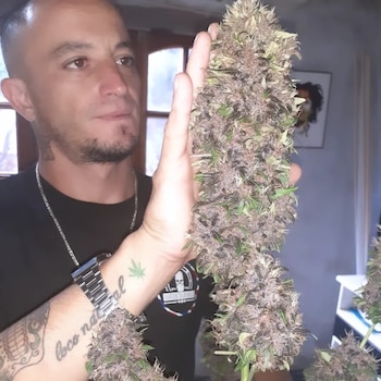 Alejandro se convirtió en influencer