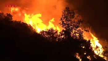 Bomberos combatían este jueves varios