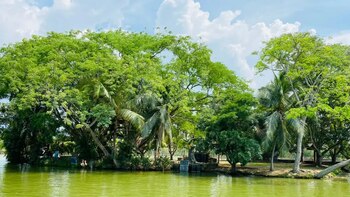 Un recorrido por las atracciones