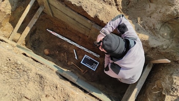 Estremecedor descubrimiento: hallaron los restos