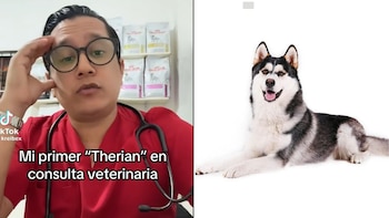 Veterinario narra encuentro con paciente