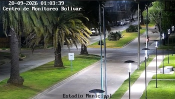 Vieron a un puma en Bolívar a través de cámaras de seguridad
