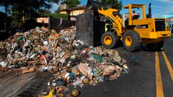 La educación ambiental, a 47
