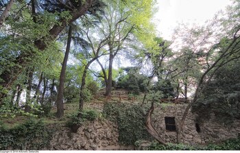 La Montaña de los Gatos