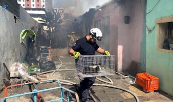 (Captura de pantalla: N+ Monterrey)