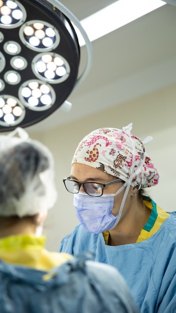 "Si bien yo presenté el