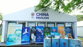 "Green Electricity Ark" debuta en