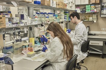 Imagen WIHB6NDFAFFFBP5SQMOEZA6UY4