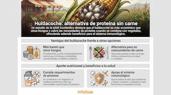 Infografía con ilustración de mazorca de maíz con huitlacoche, un puesto de mercado, y secciones con iconos y texto sobre sus beneficios.