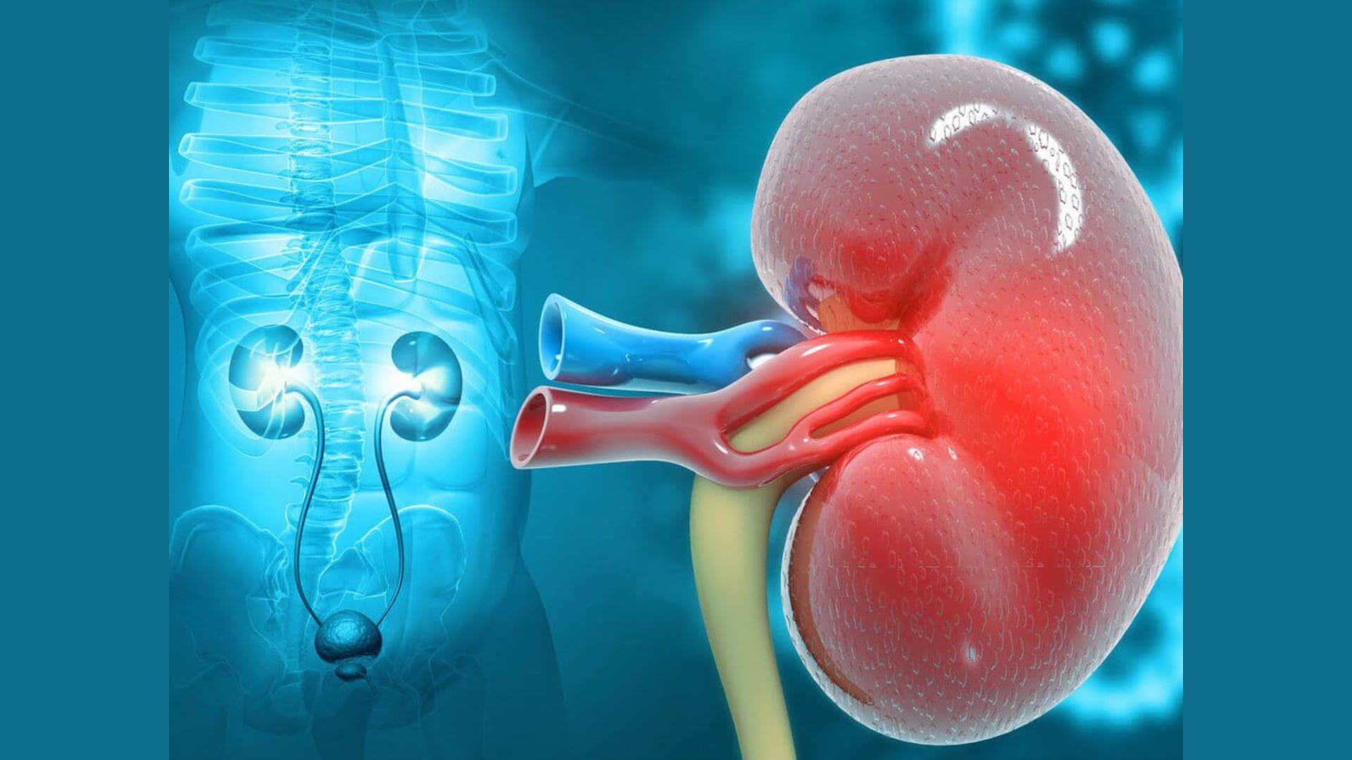 Cáncer de riñones: estos son los tempranos síntomas que no debes dejar pasar (Urólogo CDMX)