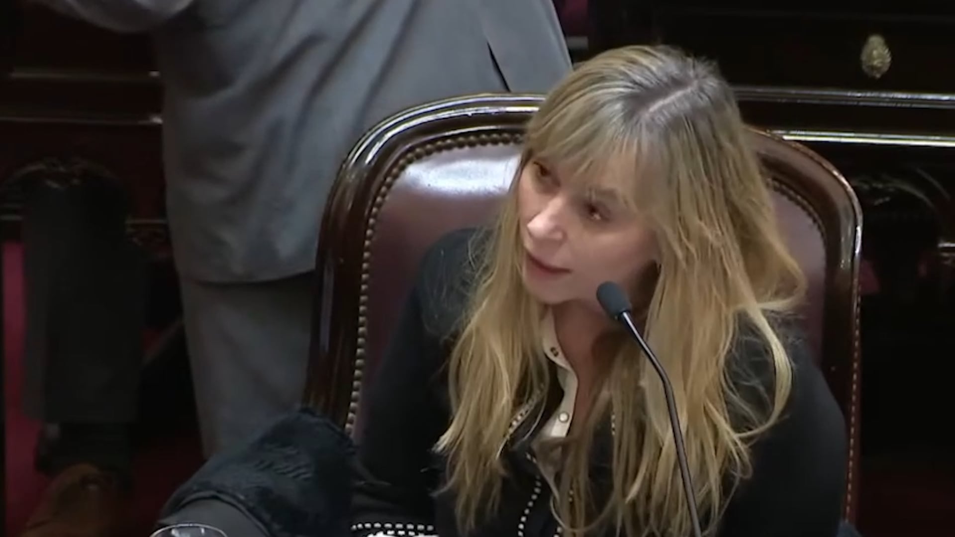 Juliana Di Tullio pidió la impugnación de Benegas Lynch en el debate por la ley de inviolabilidad de la propiedad privada