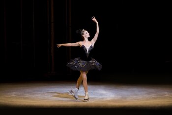 Lago de los cisnes sobre