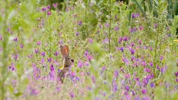 Los agricultores españoles afirman que