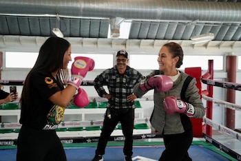 Esta iniciativa llegará a todos