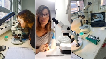 Ana Julia Pereira aportó sus