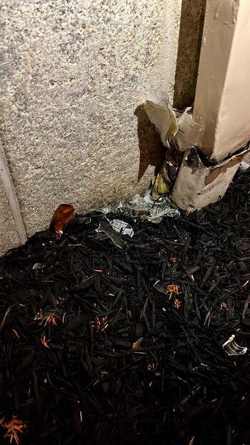 Lanzaron dos bombas molotov contra