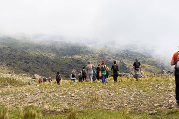 El equipo de Bosques de