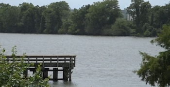 Muelle de madera sobre las aguas de un lago. Al fondo, una orilla arbolada con vegetación densa. Follaje verde en la parte inferior de la imagen