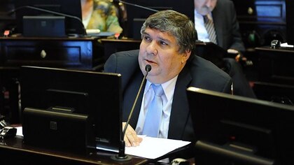  José Mayans: “Los gobernadores que están a favor de la Ley Bases no defienden los intereses del país” 