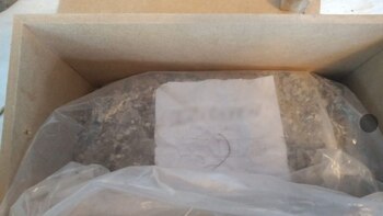 El papel que los hermanos