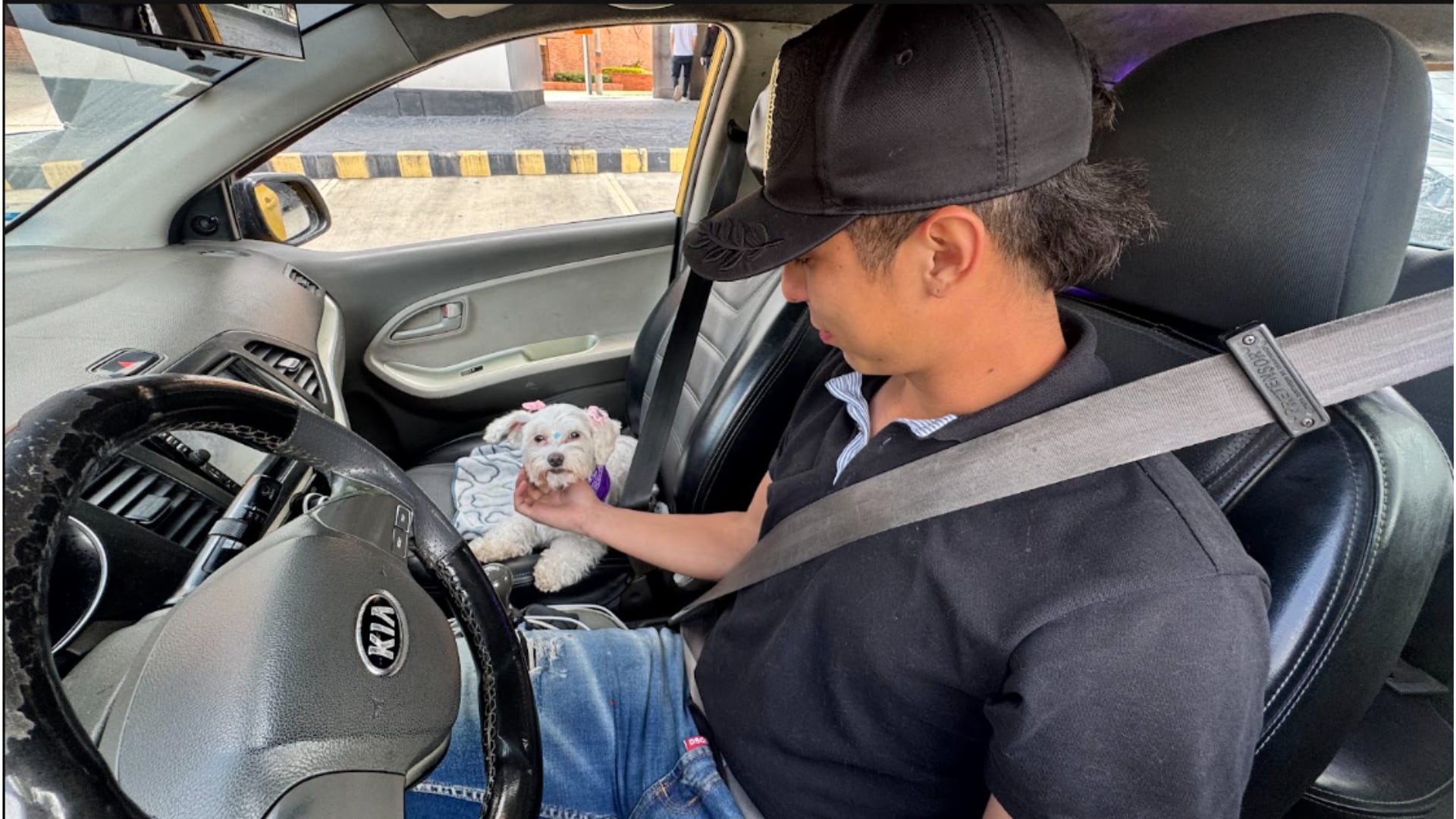 Ocho de cada diez viajes solicitados en la categoría Mascotas se completan con éxito. (Cabify)