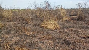 Graves daños provocados por el