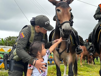 Los carabineros deben cuidar la integridad de los animales con los que trabajan - crédito @CarabinerosCol / X
