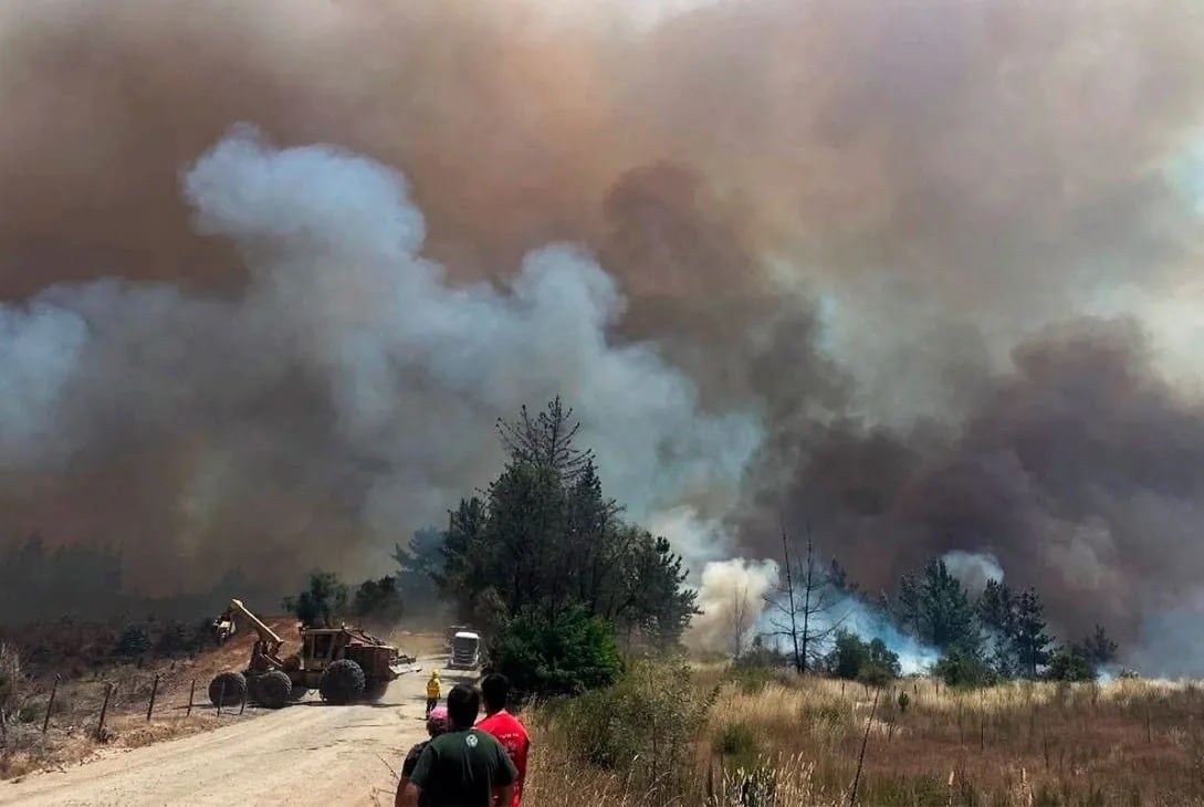 Brigadistas y siete medios aéreos combaten el fuego activo en la zona sur del parque Los Alerces, en Chubut