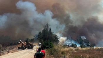 Incendios en Chubut: cómo sigue