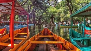 Se recomienda dar un paseo