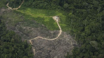 Tres reservas indígenas del Amazonas bajo amenaza por presión petrolera y cambio de mando en Perú