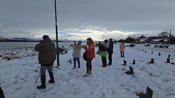 La falta de viento apareció como la principal hipótesis para explicar por qué las aves permanecieron en tierra cerca del agua (Parque Nacional Nahuel Huapi/Administración de Parques Nacionales)