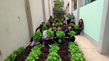 Escolares peruanos reciben asesoría de