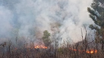 (Foto: Heroico Cuerpo de Bomberos