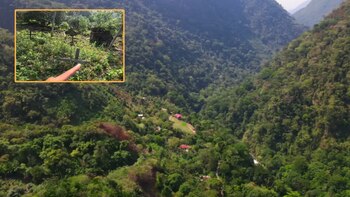 En medio de la selva