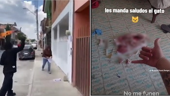 Bombas Molotov en la casa