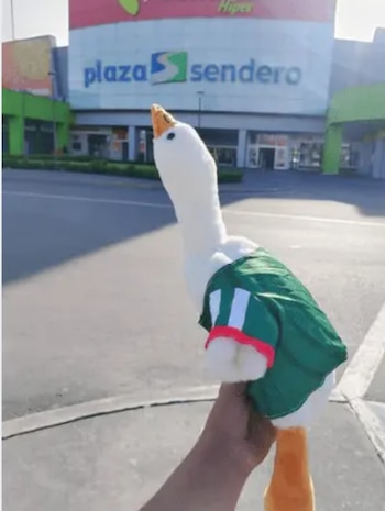 pato Merlín