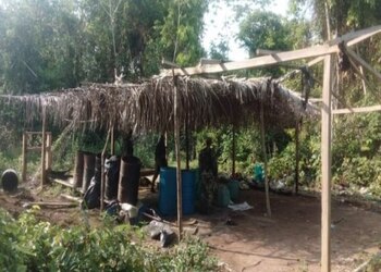 Durante los operativos no se