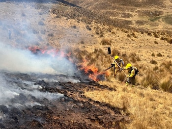 Dos brigadistas con cascos amarillos usan herramientas para apagar llamas en un terreno de pastos secos y humo en una ladera