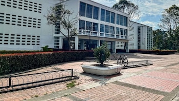 Carolina Jiménez, vicerrectora de la