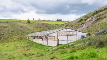 Midagri refuerza apoyo para proteger